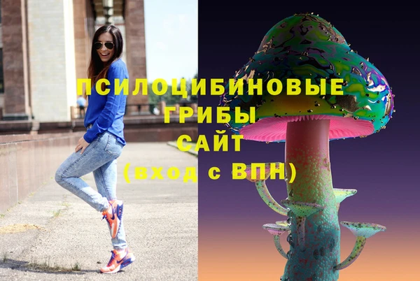 гидропоника Алзамай