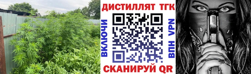 Дистиллят ТГК гашишное масло  Купить закладки  Балтийск 