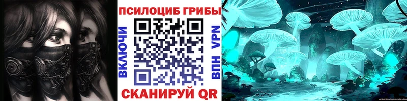 Купить  Балтийск  Псилоцибиновые грибы прущие грибы 